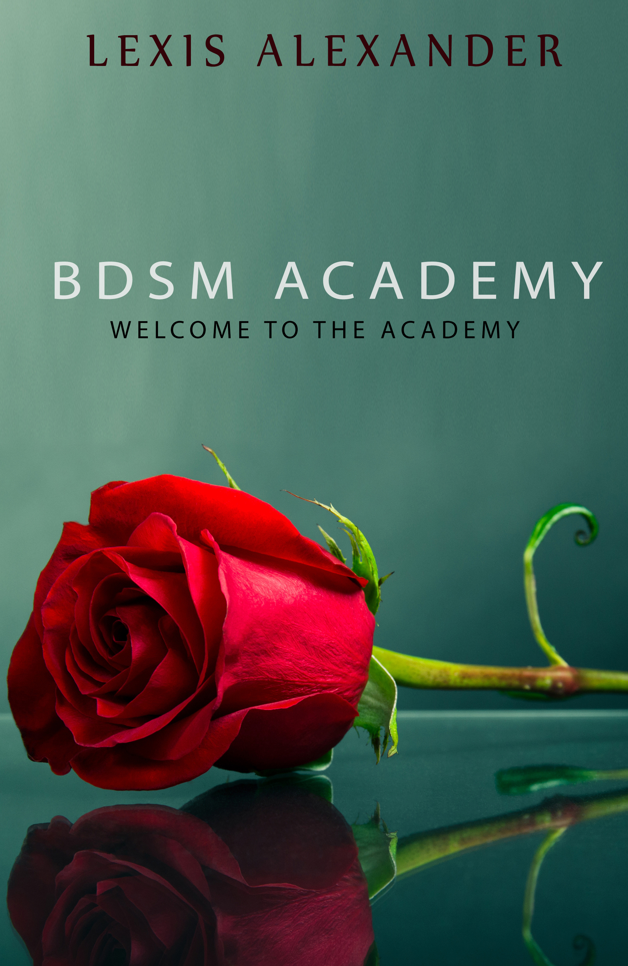 BDSM Academy